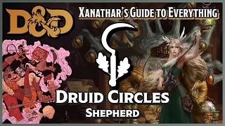 Druid Circle of the Shepherd | D&D 5e Subclass Review