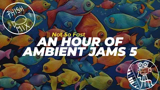 Not So Fast: 🎵🦥🎣🎵 [Phish Ambient Jams Compilation 5]
