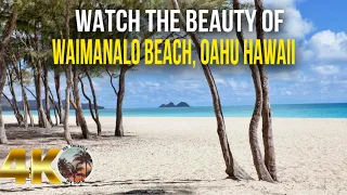 [4K] Witness the Spectacular Beauty of Oahu's Waimanalo Beach | Hawaii Relaxing Ocean Video