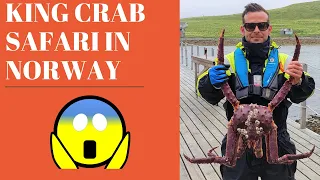 How to catch a king crab in Norway / Catch & Cook