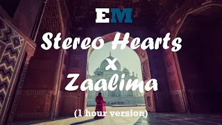Zaalima x Stereo Hearts (1 hour)