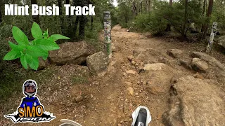 Mint Bush Track