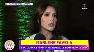 Marlene Favela REACCIONA a SUPUESTA paternidad de Fernando Colunga