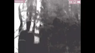 Was a Bigfoot Filmed on Thermal in Michigan? A Breakdown.