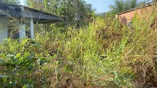 Help the poor worker clean up the garden around the house yard, beautiful satisfying transformation