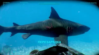 Атака акул игра 🎮 Shark Attack Deathmatch 2 Обзор