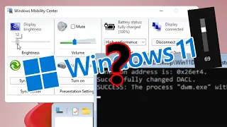 The State of Windows