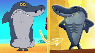 Zig & Sharko 💪 GETTING FIT - Compilation in HD