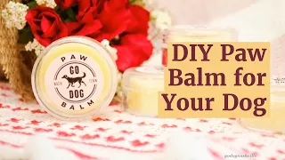 DIY Paw Balm for Your Dog