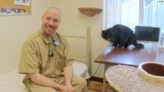 Inmates pair up with rescue cats