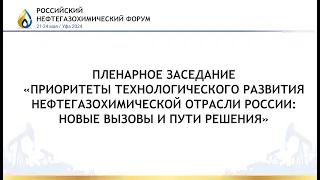 ПРИОРИТЕТЫ ТЕХНОЛОГИЧЕСКОГО РАЗВИТИЯ НЕФТЕГАЗОХИМИЧЕСКОЙ ОТРАСЛИ РОССИИ: НОВЫЕ ВЫЗОВЫ И ПУТИ РЕШЕНИЯ