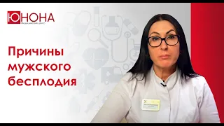 Причины мужского бесплодия