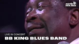 BB King Blues Band - Full Concert [HD] | North Sea Jazz (1993)