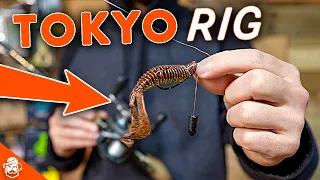 Tokyo Rig: When, Where, and How To Rig & Fish It!