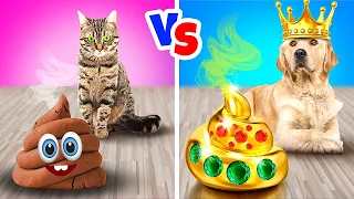 CHAT PAUVRE vs CHIEN RICHE || Animaux de Compagnie Adoptés par une Famille Riche par Défi Accepté