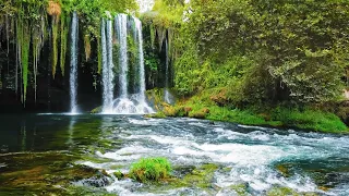 4k Waterfall Ambience| ASMR Amazing Waterfall Nature Sounds for Sleep Studying and Relaxation