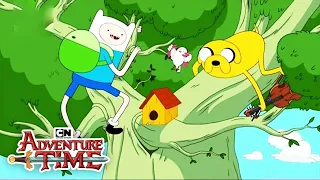 House Hunting Song | Adventure Time - Season 4 DVD | Cartoon Network