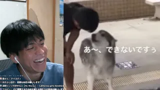 めっちゃはっきり日本語喋る犬wwwwwww【第7回meme配信切り抜き】