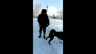 ВСЛ Омская обл.  Тунгус и его хозяин Халимжан..