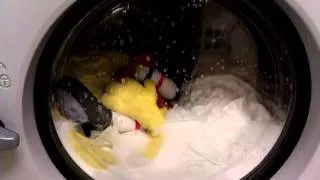 Spongebob in washing machine