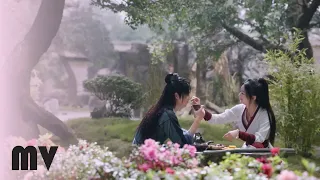 [MV] Like Fei 如翡 - 王晰, 赖美云 | Legend of Fei OST《有翡》