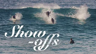 Dolphins show the surfers how it’s done.