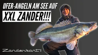 XXL Zander vom Ufer  -  Angeln im flachen See