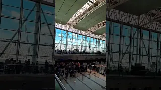 Argentina campeón del mundo. Aeropuerto de Ezeiza.