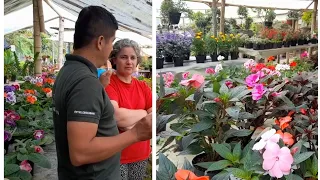 viví nos cuenta el cuidado de las  plantas en su vivero