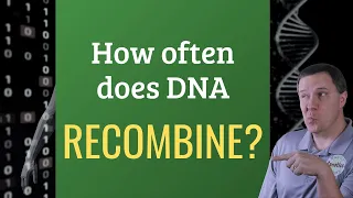 How often does DNA recombine? | Genetic Genealogy Explained