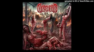 Colpocleisis - Fallopian Fallout [Full Album]