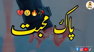 Pak Muhabat | Story No.142 | Urdu & Hindi Stories | Tazeem Hans