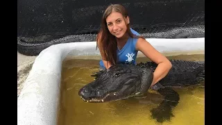 Gator Girl Rescues Nuisance Alligators | BEAST BUDDIES