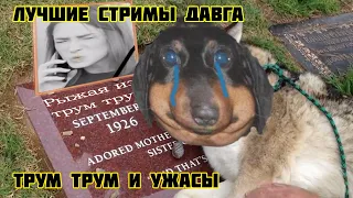 Лучшие стримы Давга  "Трум трум и стришлки"