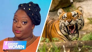 Strict Or Laid-Back? What's Your Animal Parenting Style? | Loose Women