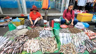 Wet Market Scenes In The Evening - River Fish, Vegetables, Seafood, Chicken & More |TourWithPapa