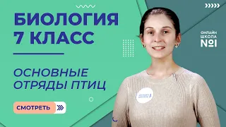 Основные отряды птиц. Урок 25. Биология 7 класс