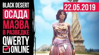 СТРИМ: [BDO] Black desert - МАЭВА! Осада. Одичалые