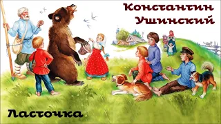 Константин Ушинский - Ласточка / Аудиосказка / Удивительные сказки