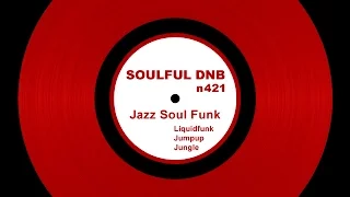 Soulful Drum & Bass Mix (N421)