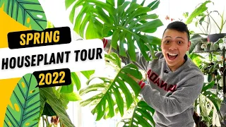 Houseplant Tour | Spring Plant Collection 2022 💚 (Part 1) Monstera, Philodendron, Anthurium, Hoya 😍