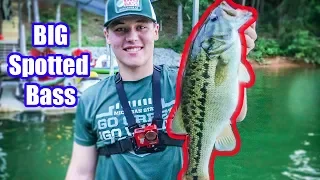 The HARDEST FIGHTING BASS I have EVER CAUGHT!!|Fishing Lake Lanier