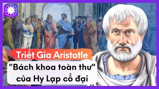 Triết Gia Aristotle – “Bách Khoa Toàn Thư” Của Nền Văn Minh Hy Lạp Cổ Đại