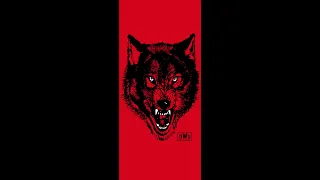 The NWO Wolfpac Theme is Unmatched!