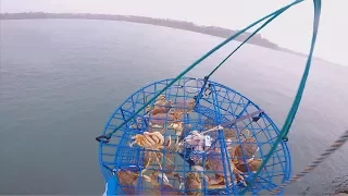 how to catch crab off a dock   part 1