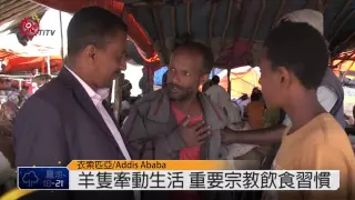 衣索匹亞生計來源 羊文化舉足輕重 2015-03-23 TITV 原視新聞