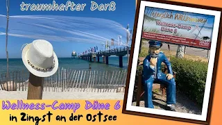 WELLNESS CAMP DÜNE 6 auf dem Darß in Zingst an der Ostsee