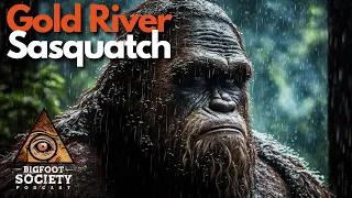 The Shocking Truth About Sasquatch on Vancouver Island