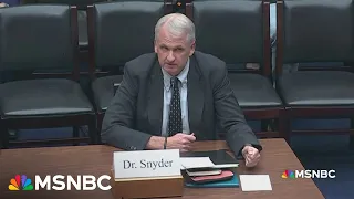 Doing Russia’s bidding: Snyder calls out GOP ‘Putin wing’ to their faces in Hill hearing
