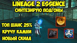 Синтезирую подгоны на сх в Lineage 2 Essence.